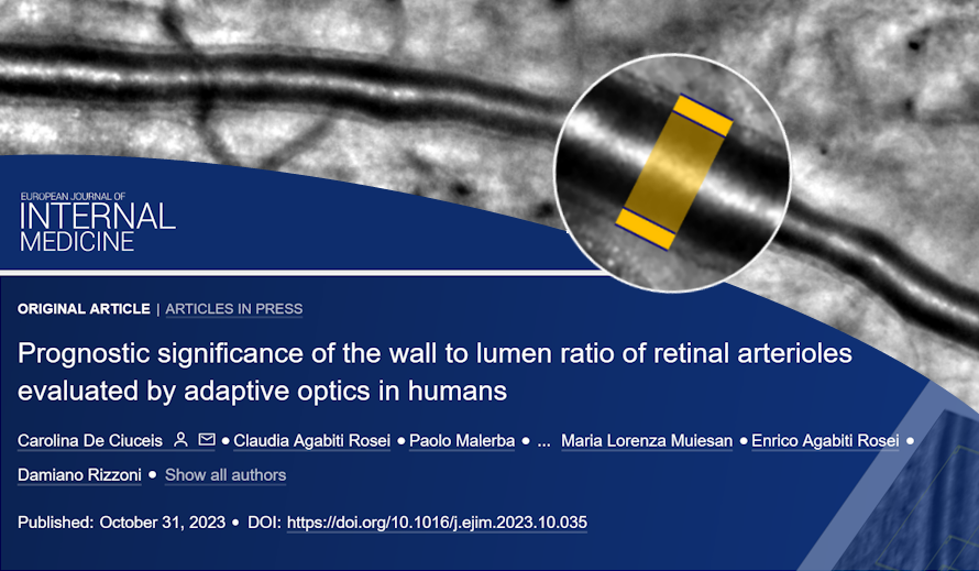 Cardiovascular risk predicted by retinal microvascular structure